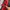 Manhattan Portage Sling Bag photo 5