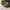 Topi Guess photo 4