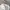 Asics Gt II White Monaco Blue photo 6