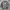 Crewneck Vintage Pria  photo 1