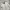 Lemain Second Minimal Overfit Two-way Jacket Beige
