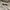 Jeep Minimalist Casual Sweatshirt Pria cream photo 2