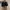 Lovain studio Loafer look kayak gh bass  photo 4