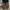 Lovain studio Loafer look kayak gh bass  photo 8