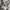 jemut sweatpants soft grey photo 7