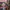 Buku Why?People photo 2