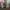 Buku Why?People photo 1