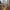 Buku Why?People photo 4