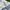Diesel Streetwear Casual Casual shirt Pria multicolor photo 3