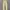 FIELD CORE LONG PANTS CARGO