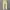 FIELD CORE LONG PANTS CARGO photo 1