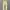 FIELD CORE LONG PANTS CARGO