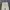 ADIDAS CARGO LONG PANTS CREAM photo 4