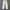 ADIDAS CARGO LONG PANTS CREAM photo 1