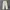 ADIDAS CARGO LONG PANTS CREAM