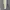 ADIDAS CARGO LONG PANTS CREAM photo 5