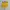 HOT PANTS YELLOW photo 1