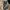 Von Dutch Workshirt 0887 khaky photo 3