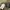 NICOLE CLUB FORMEN LONG PANTS CARGO photo 7