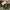 NICOLE CLUB FORMEN LONG PANTS CARGO photo 8