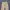 511 TECTICAL LONG PANTS CARGO photo 3