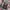 Streetwear Casual Casual shirt Pria multicolor photo 3