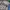 Chevignon Streetwear Casual Casual shirt Pria multicolor photo 3