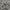 Chevignon Streetwear Casual Casual shirt Pria multicolor photo 5