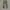 UNIQLO CHINO LONG PANTS  photo 1