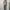 OUTER UNBRAND  photo 1