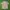OUTER UNBRAND  photo 2