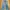 bootcut jeans photo 1