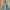 Bootcut Jeans
