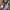 Givenchy Luxury Casual Bandeau top Wanita multicolor photo 2