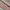 Streetwear Casual Casual shirt Pria multicolor photo 4