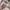 Streetwear Casual Casual shirt Pria multicolor photo 3
