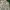 Streetwear Casual Casual shirt Pria multicolor photo 2
