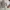 Rare Kaos Neighborhood x Bearbrick Original(M) photo 4