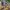 Streetwear Casual Casual shirt Pria multicolor photo 6