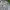 Streetwear Casual Casual shirt Pria multicolor photo 2