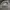 Pull&bear turtle neck kaos lengan panjang fit body photo 2