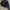 CONVERSE ALL STAR BOMBER LEATHER JACKET photo 5