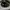 HELM RSV FF300 photo 1