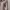 One Set New photo 3