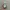 Skin 1004 Madagascar Centella Ampoule  photo 1