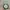 Skin 1004 Madagascar Centella Ampoule  photo 2