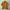 Mustard Top - The Executive photo 1