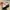 Reebok Comfortbed Ortholite photo 4