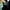 Running Shoes Nike Vapormax Sportswear Pria Wanita photo 6