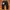 Nylaus Streetwear Jeans Pria black photo 2